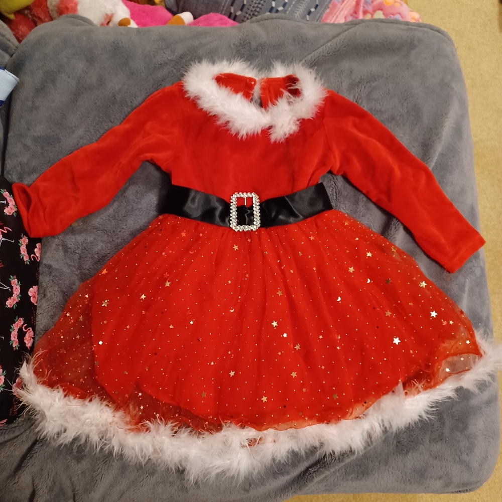 NWOT 2 or 3 T??  Christmas Dress